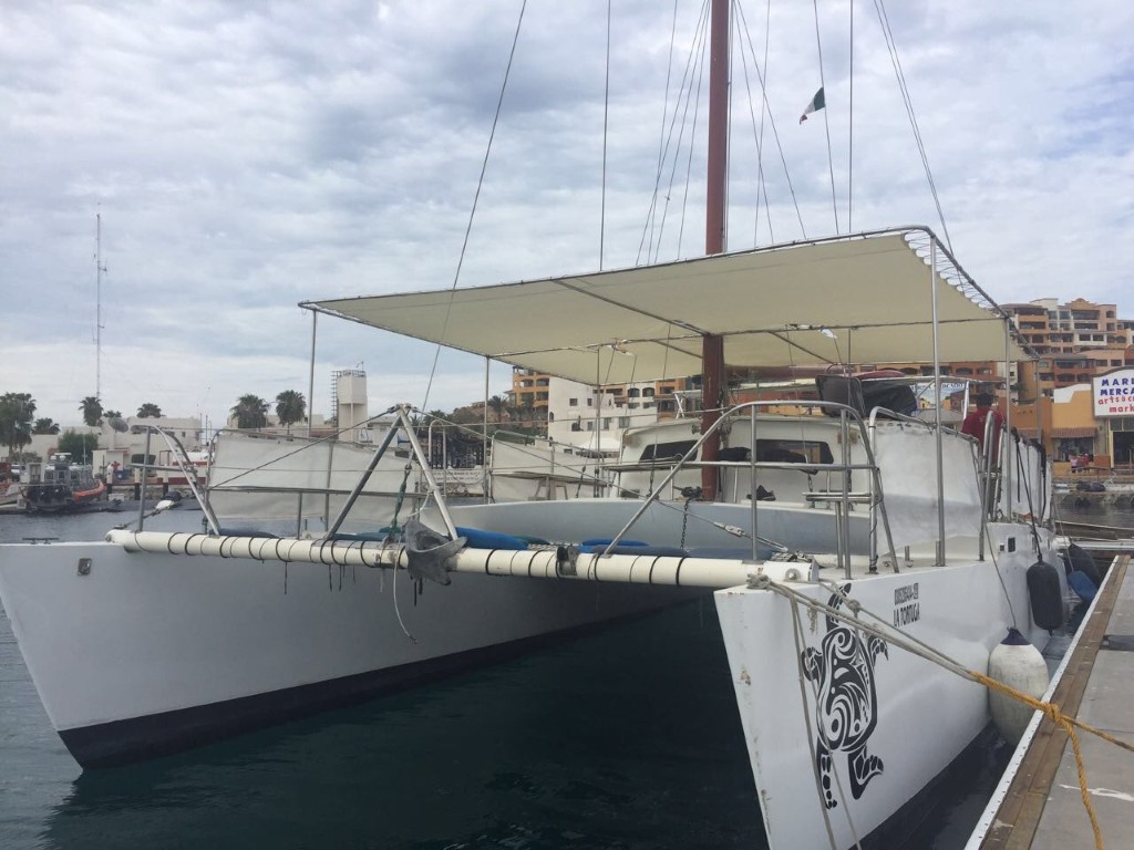 50' Catamaran